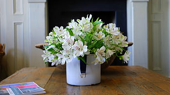 beautiful, flower, vase., nice, valentine’s, valentine ’s day ...
