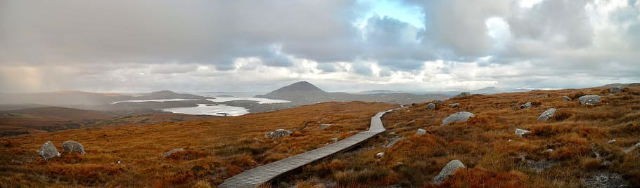 gray, pathway, surrounded, brown, grass, Panorama, Landscape, Ireland, Bleak, path