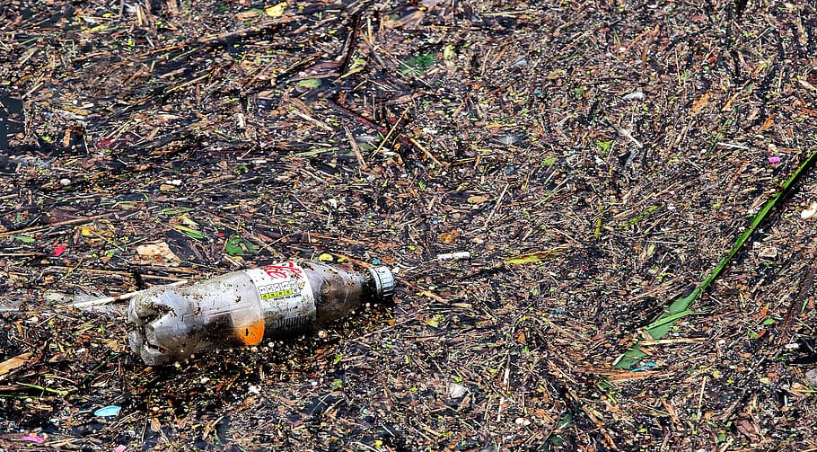 plastic bottle, muddy, ground, bottle, waste, pollution, garbage, litter, eyesore, discarded