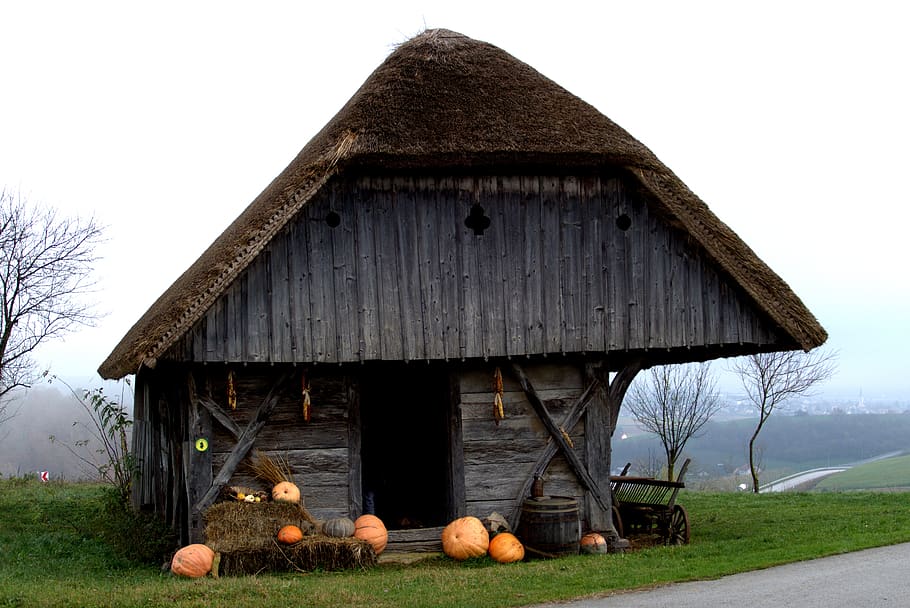 old house, thatched roof, pumpkin, history, slovenia, sky, built structure, plant, nature, architecture