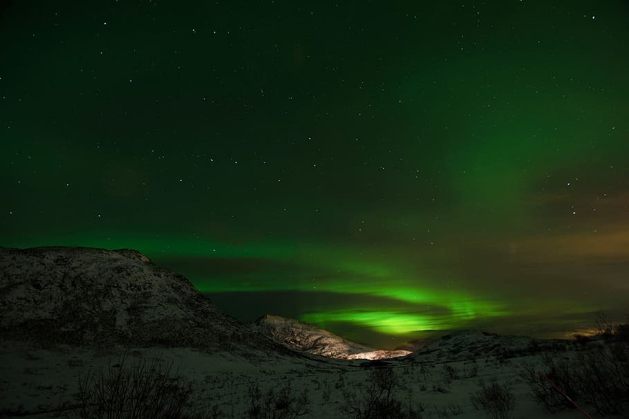 green aurora borealis, aurora, northern lights, borealis, green, phenomenon, norway, swirl, sky, night
