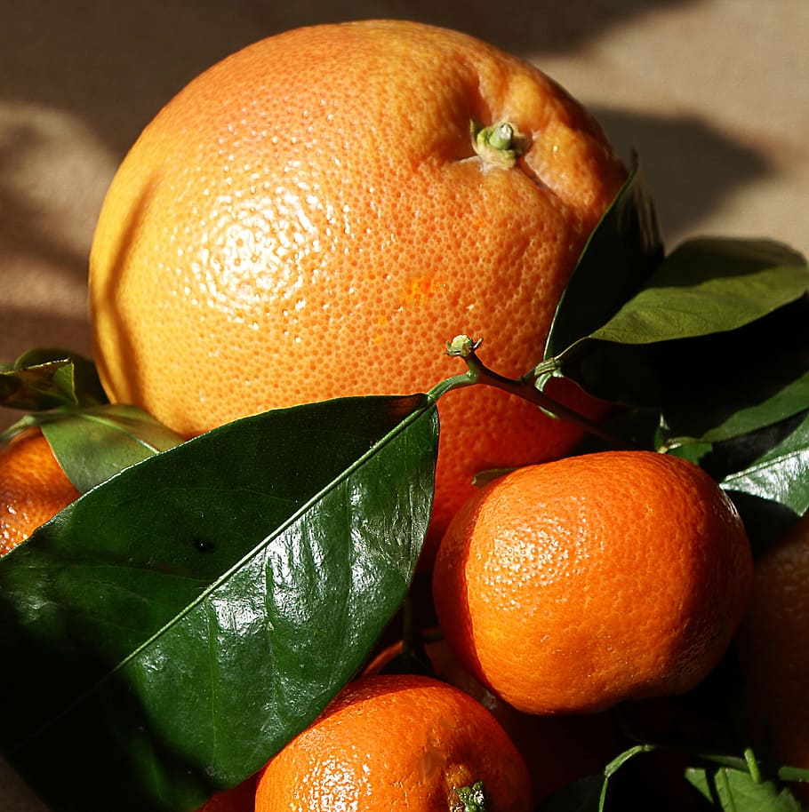 Oranges, Mandarins, Southern, Fruits, southern fruits, fruit, the stem, porosity, nature, orange