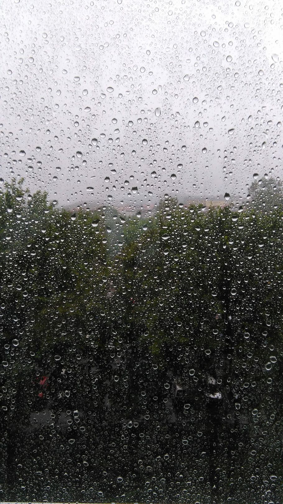 rain, window, weather, wet, drop, water, glass - material, transparent, nature, raindrop