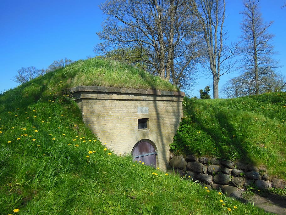rampart, military, gunpowder house, built in the rampart, grass roof, camouflaged, security, nyborg, funen, plant