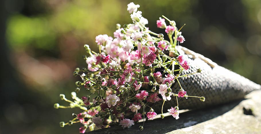 karangan bunga merah muda, tas biji gypsofilia, gypsophila, tas, bunga hias, tanaman hias, bunga, alam, bunga putih, bunga merah muda