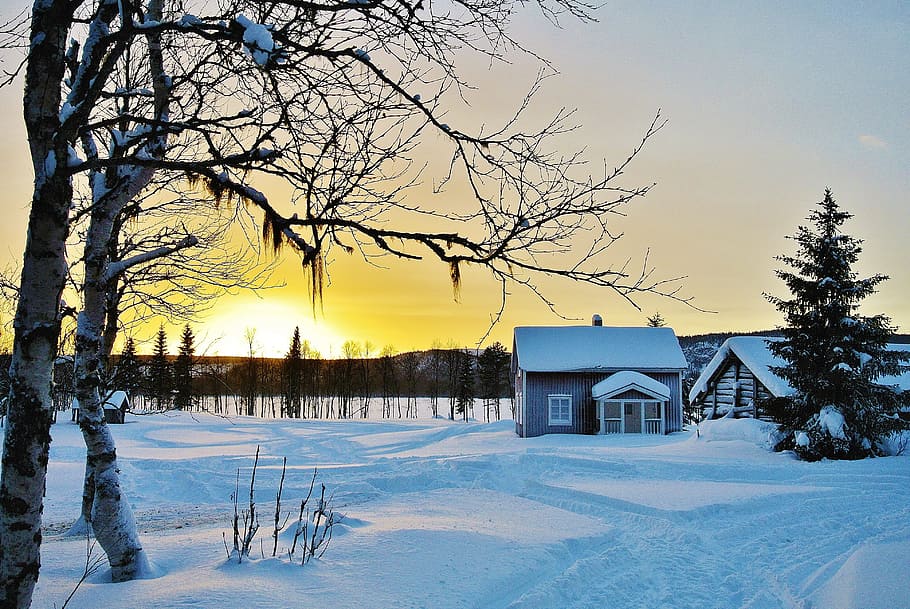 cabina, cubierto, nieve, norrland, himmel, invierno, casa, madera, por, puesta del sol