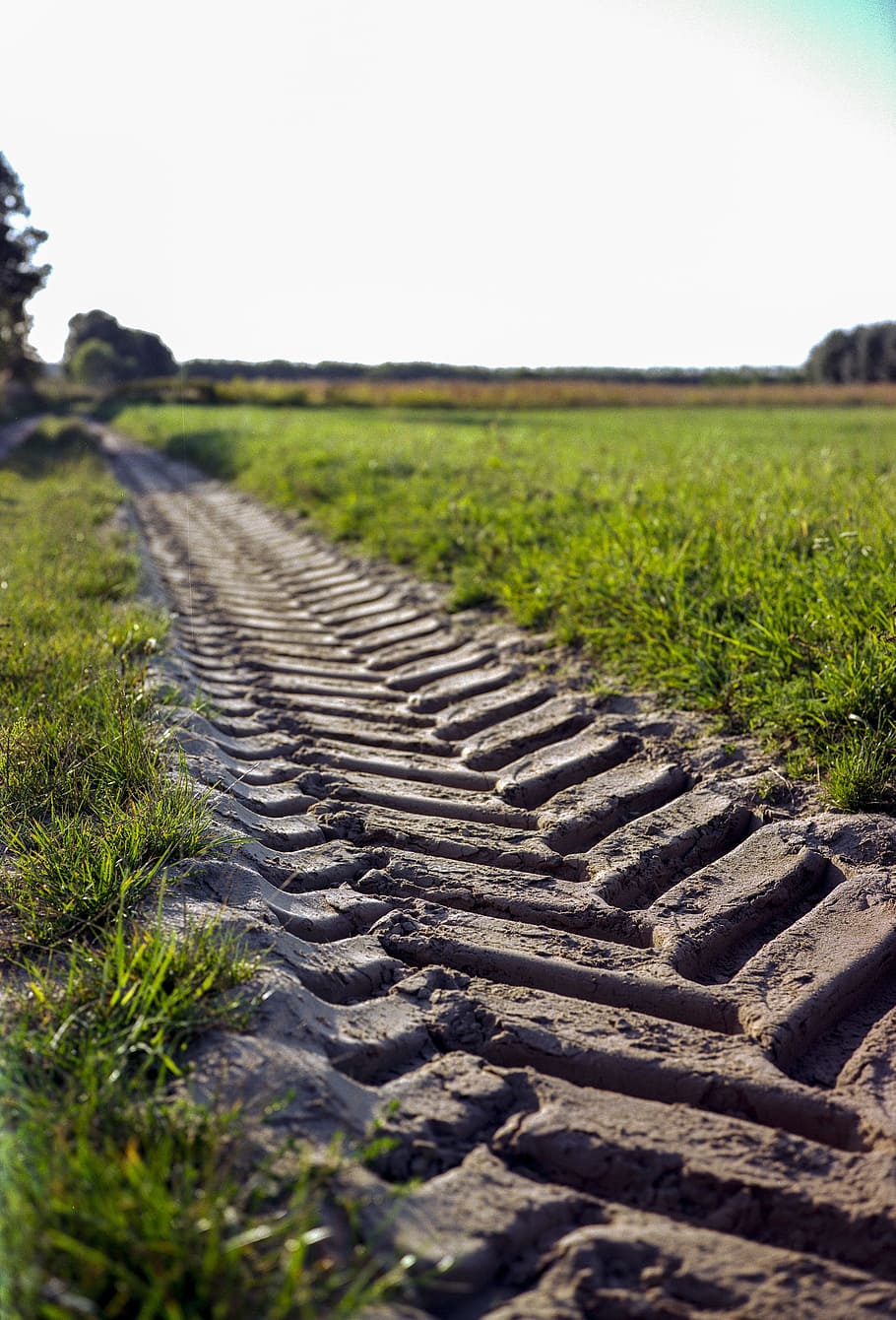 track, vehicle tire, wet, soil surface, tire, path, wheel, road, vehicle, transportation