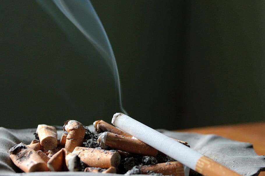 cigarro, cinzeiro, cinza, fumo, inclinação, pontas de cigarro, ponta de cigarro, fumaça, problemas com o fumo, queimado