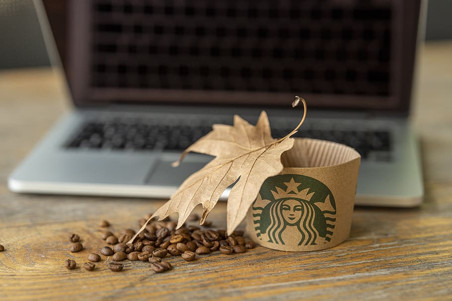 Starbucks, café, computadora portátil, hojas, otoño, caliente, mesa, madera, cafeína, delicioso