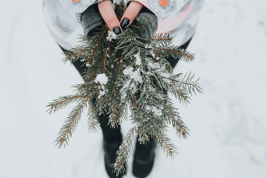 people, woman, blur, outdoor, snow, winter, green, plant, tree, one person