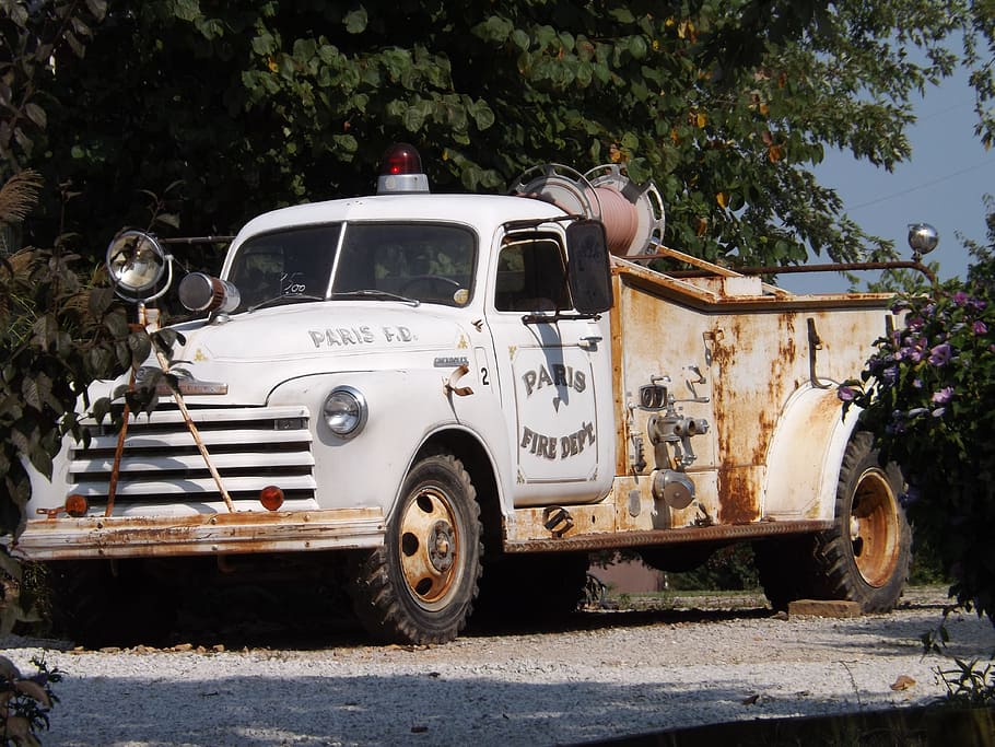 white, tree, Route 66, Antique, Truck, Vintage, Auto, antique truck, vintage auto, old fire engine