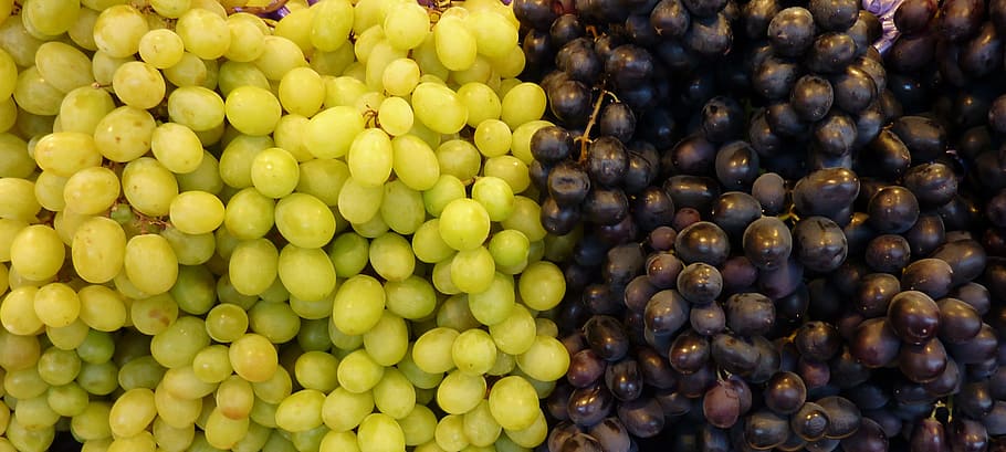 hijau, ungu, anggur, anggur putih, anggur biru, buah, manis, putih, lezat, sehat