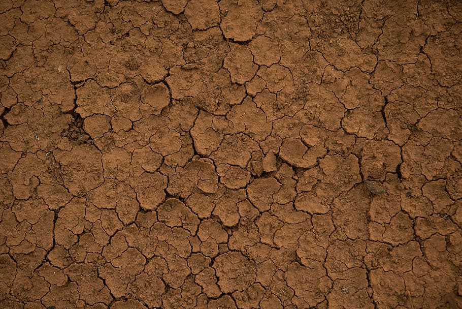 solo seco marrom, terra, textura, lama, árido, seco, campo, natureza, verão, campanha