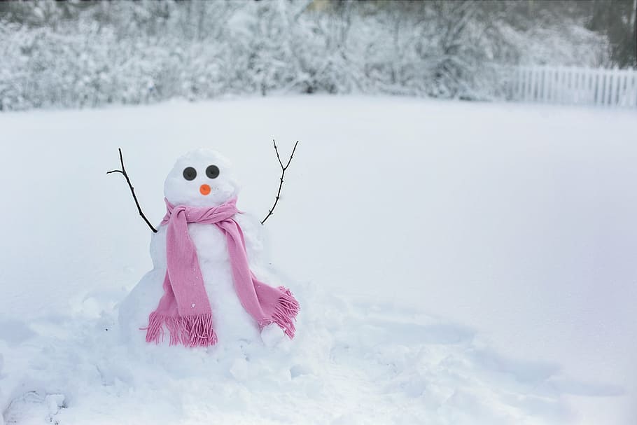 snowman photo, winter, snow woman, snowman, snow, cold, fun, woman, outdoors, season