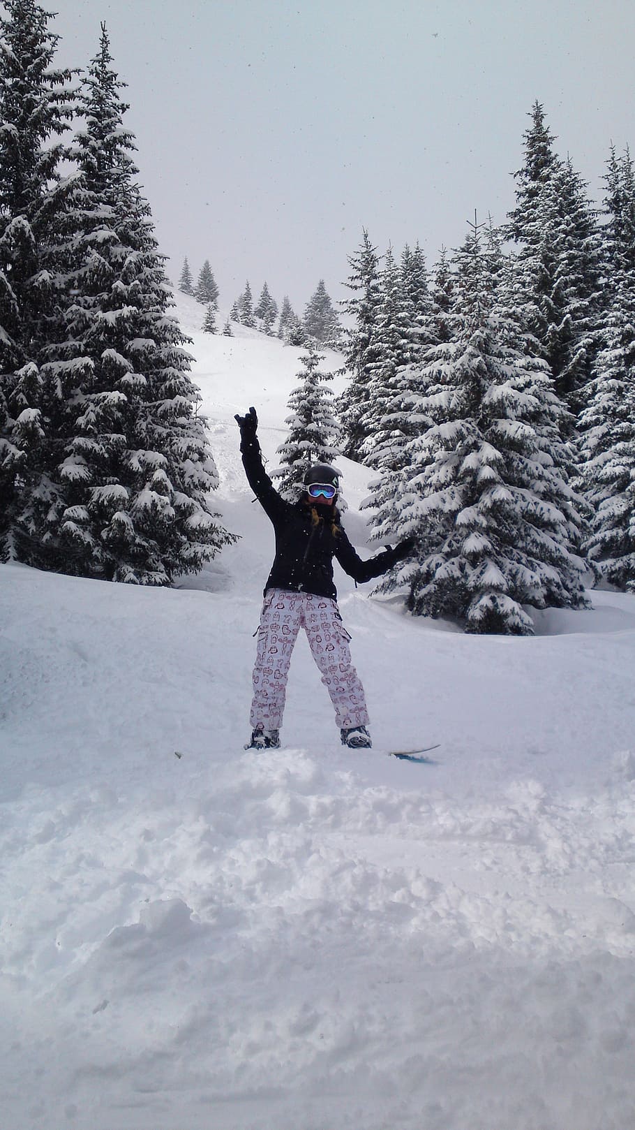 snowboard, snowboarding, ride, new zealand, deep snow, winter, dream day, riding, mountains, alpine