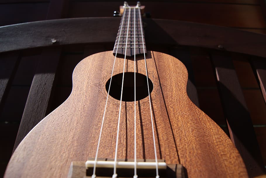 closeup, brown, ukulele, music, strings, hollow, wood, instrument, hawaiian, hawaii