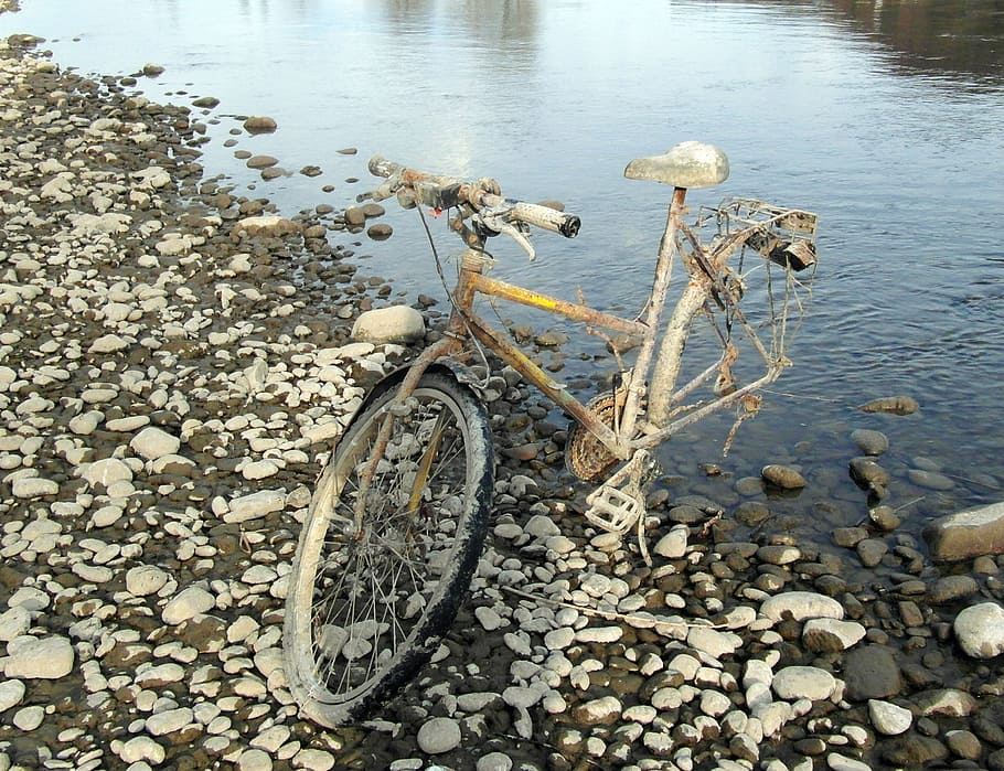 flotsam and jetsam, bike, old, rusty, flotsam, rhine, pebble, owners wanted, water, transportation