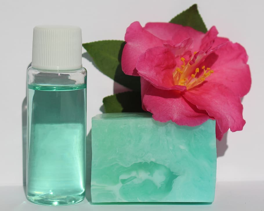 essential oil, soap, handmade, aromatherapy, flower, camelia, relaxation,  health, flowering plant, beauty in nature | Pxfuel