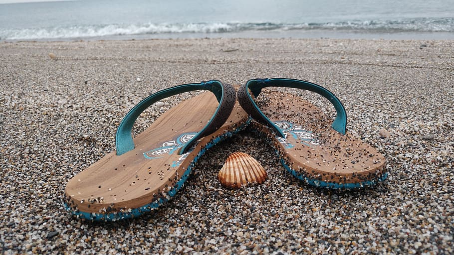 beach, flip flops, cala, shell, sand, dawn, sea, heat, holiday, summer