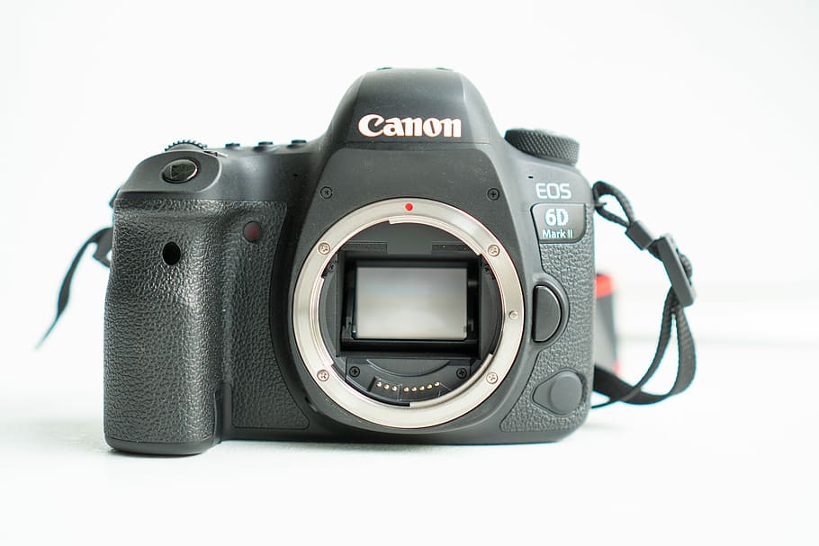 kanon, kamera, tanda 6d ii, fotografer, fotografi, lensa, kamera digital, foto, kamera slr, format penuh
