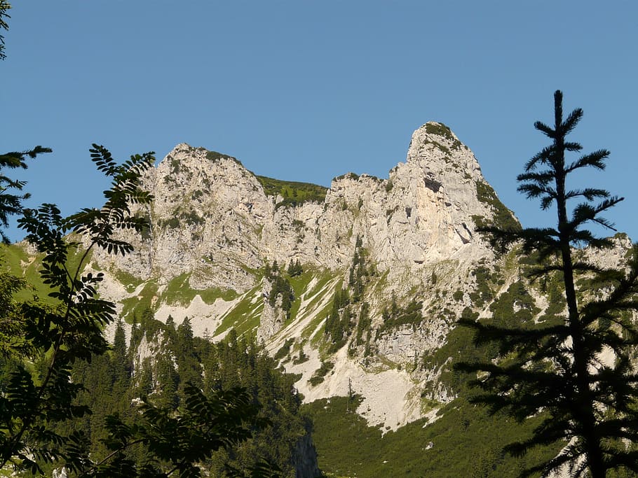 sebenspitze, mountain, alpine, tannheim, hike, rock, plant, sky, tree, clear sky