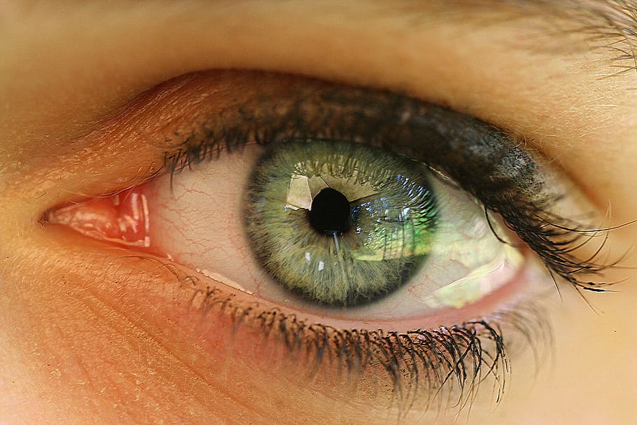 green eyes, eye, human, face, girl, eyelashes, iris, close, pupil, look