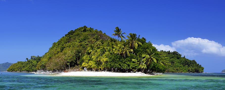 pulau hijau, surga, pulau, filipina, pantai, laut, alam, pohon, musim panas, air