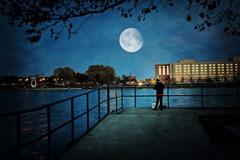 persona, en pie, barandilla, mirando fijamente, Luna, súper luna, silueta, noche, lunar, ciudad