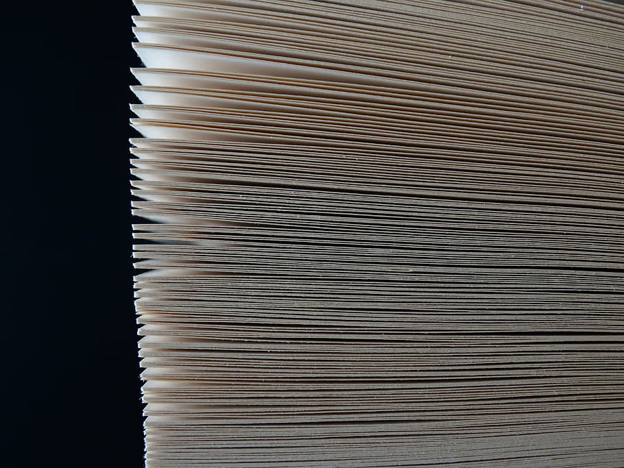 stack of files, leaves, stack, regulation, structure, aligned, large group of objects, paper, backgrounds, close-up