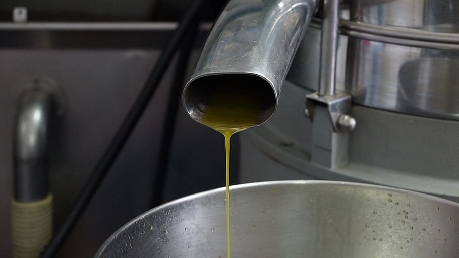 olive oil, production, manufacture, factory, agriculture, processing, virgin, machine, extraction, steel