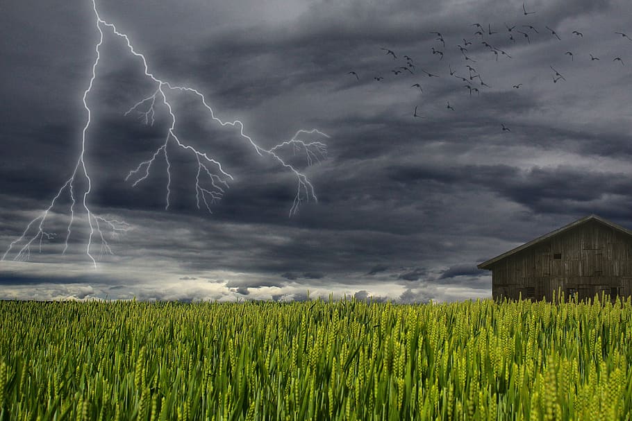 brown, house, field, green, leaf plant, lightning, storm, clouds, dark, landscape