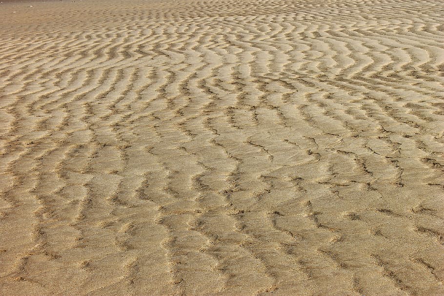 砂 海 ビーチ 自然 テクスチャ 背景 パターン フルフレーム 人なし 土地 Pxfuel