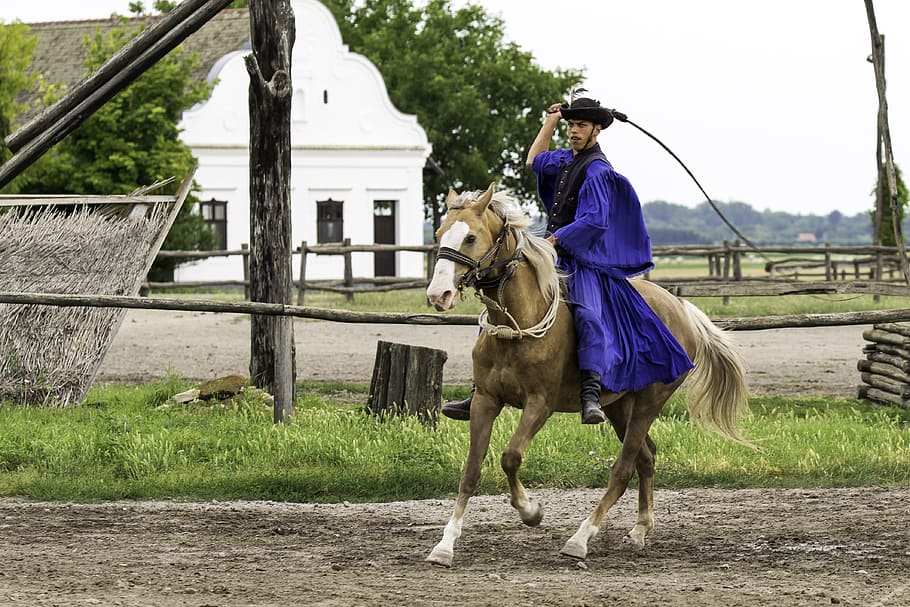 Puszta, Hungary, Horse Farm, Equestrian, traditional horseman's costume, stock whip, stockade, one animal, one person, adult