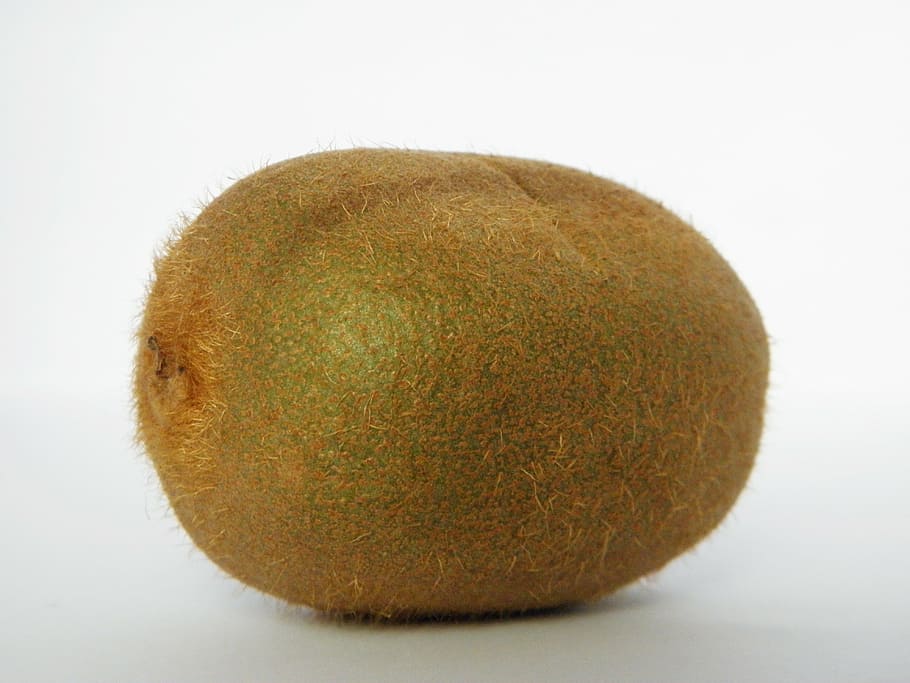 kiwi fruit, kiwi, fruit, vitamins, food, healthy, bio, benefit from, freshness, ripe