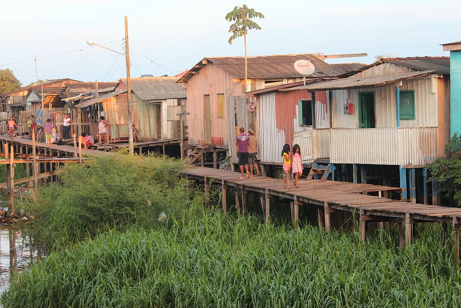 slum houses, para, amazonas, brazil, architecture, built structure, building exterior, house, building, day