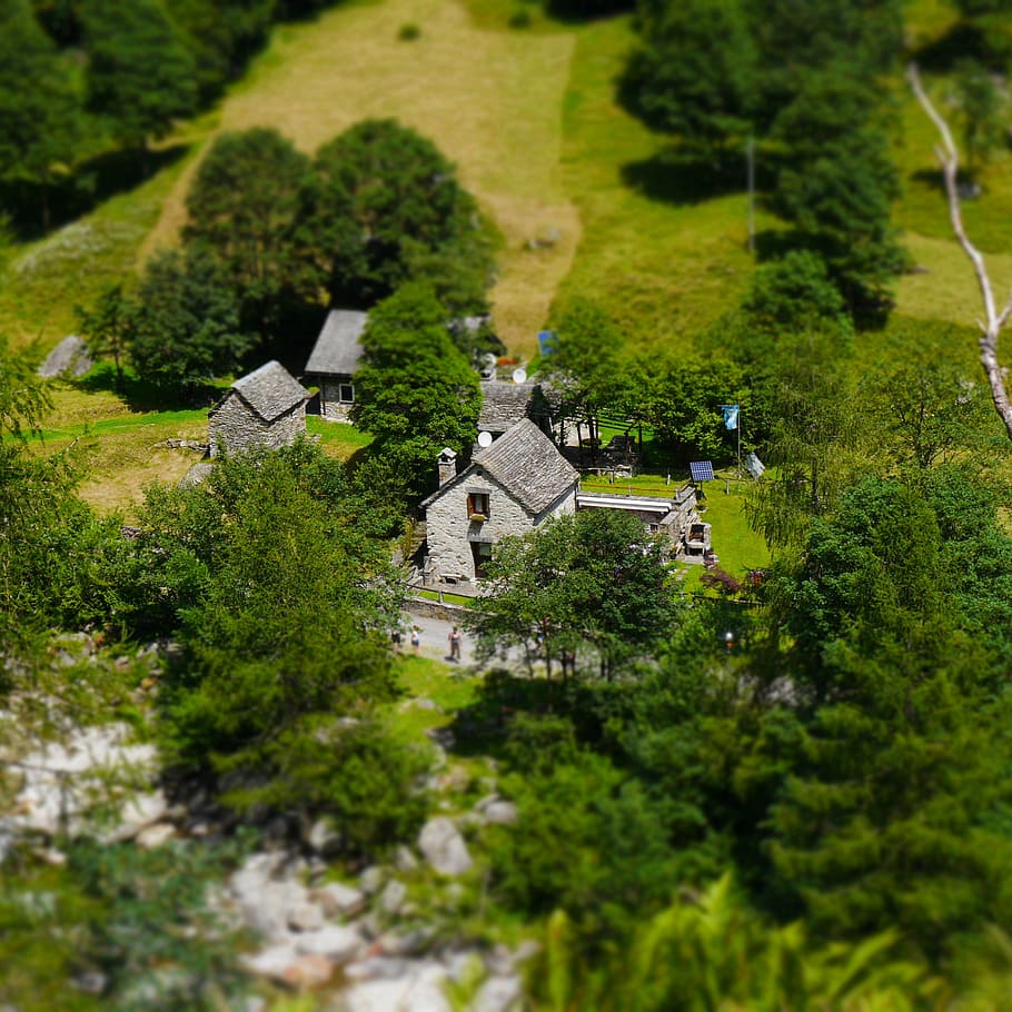 bergdorf, verzasca, rustico, casa de piedra, ticino, aldea, tiltshift, arquitectura, planta, árbol