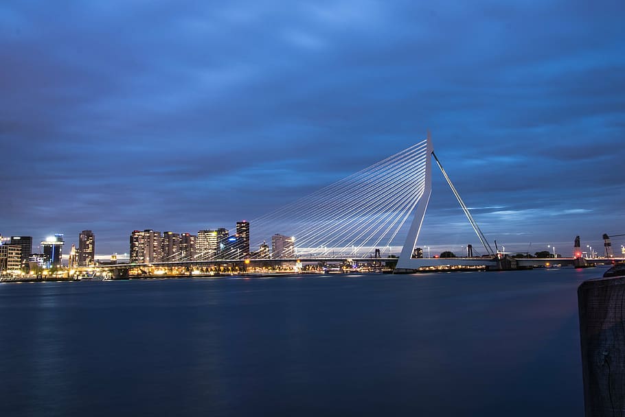 rotterdam, reflection, harbor, night, water, holland, architecture, city, river, europe