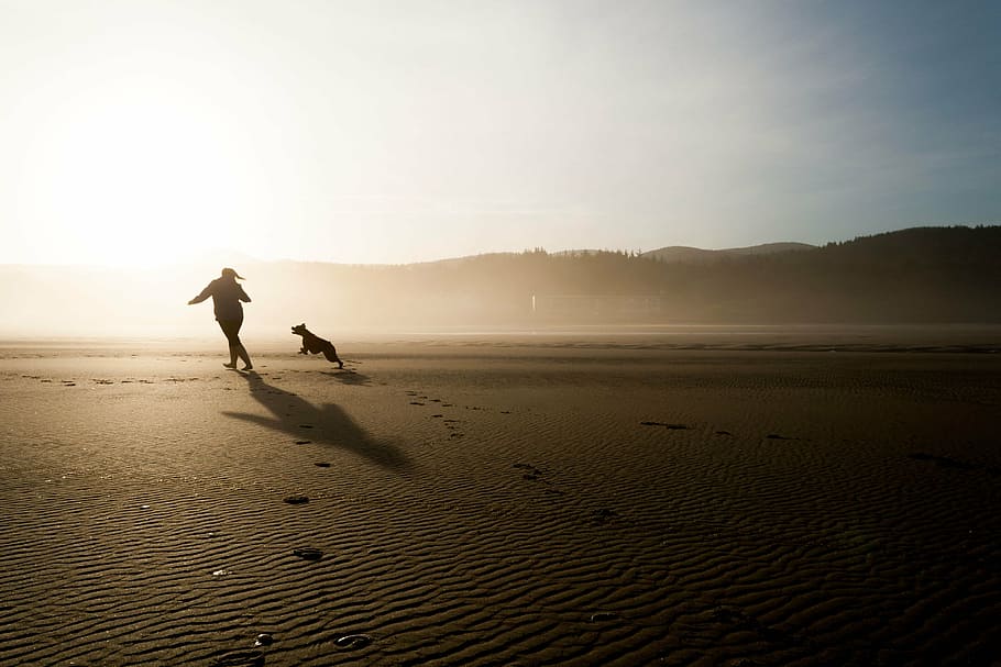 silueta, mujer, perro, corriendo, abierto, campo, durante el día, playa, persecución, jugar