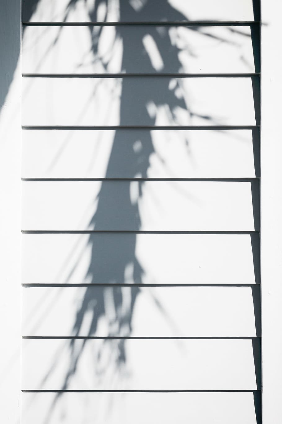 shadow on stairs, window, wood, white, shadow, house, home, day, sunlight, built structure