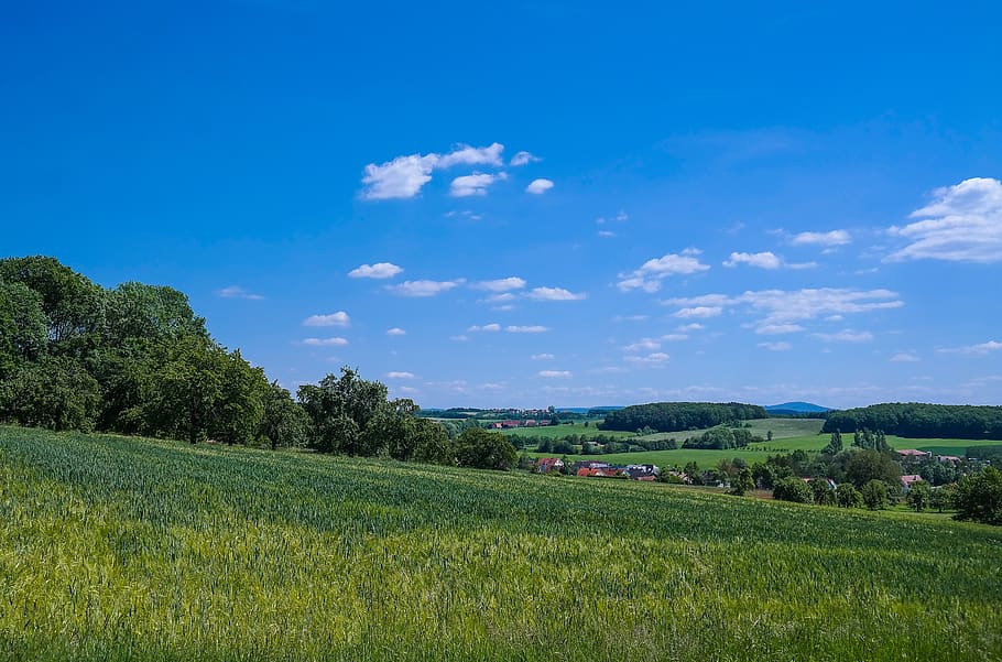 landscape, fields, cereals, panorama, nature, middle franconia, sky, wide, green, plant