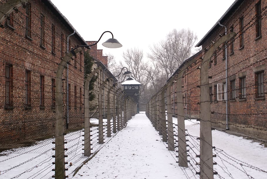 Auschwitz, Kz, Polandia, Nazi, musim dingin, salju, suhu dingin, turun salju, cuaca, beku