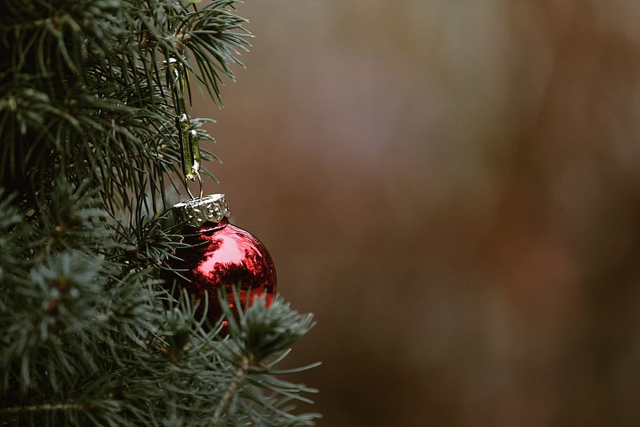 christmas, tree, fir tree, christmas tree, ball, christmas bauble, deco, decoration, red, nature