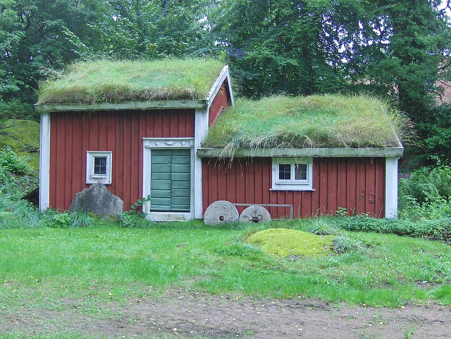 sweden, house, home, building, thatched roof, grass, thatch, architecture, nature, outside