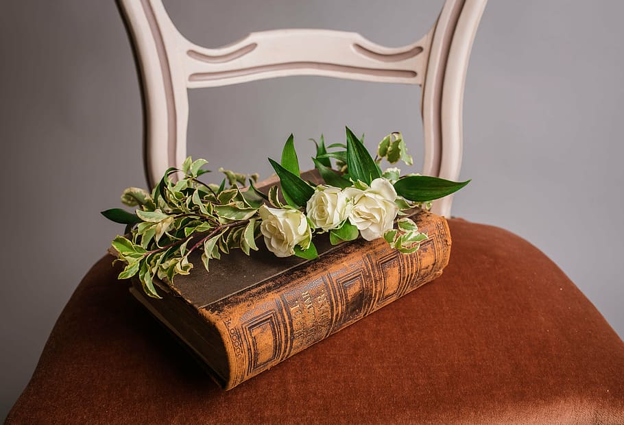 white, rose, flowers, brown, book, chair, flower, scripture, plant, leaf