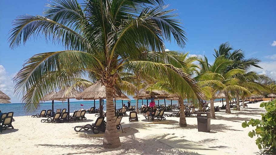 Cancun, Mexico, Xcaret, Caribbean, cancun, mexico, resort, mexican, yucatan, palm tree, beach
