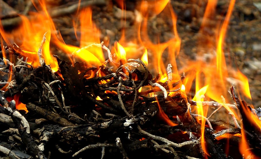 Fuego, llama, macro, chorros de llama, brillante, quemadura, carbones, koster, leña, chispa