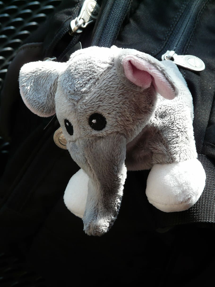 Elephant, Stuffed Animal, Fabric, Toys, teddy bear, plush, hanging, indoors, close-up, animal themes