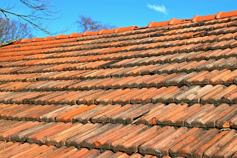 Tile, Roof, Red, Brick, Roofing, Weather, red, brick, weather protection, orange, roofers