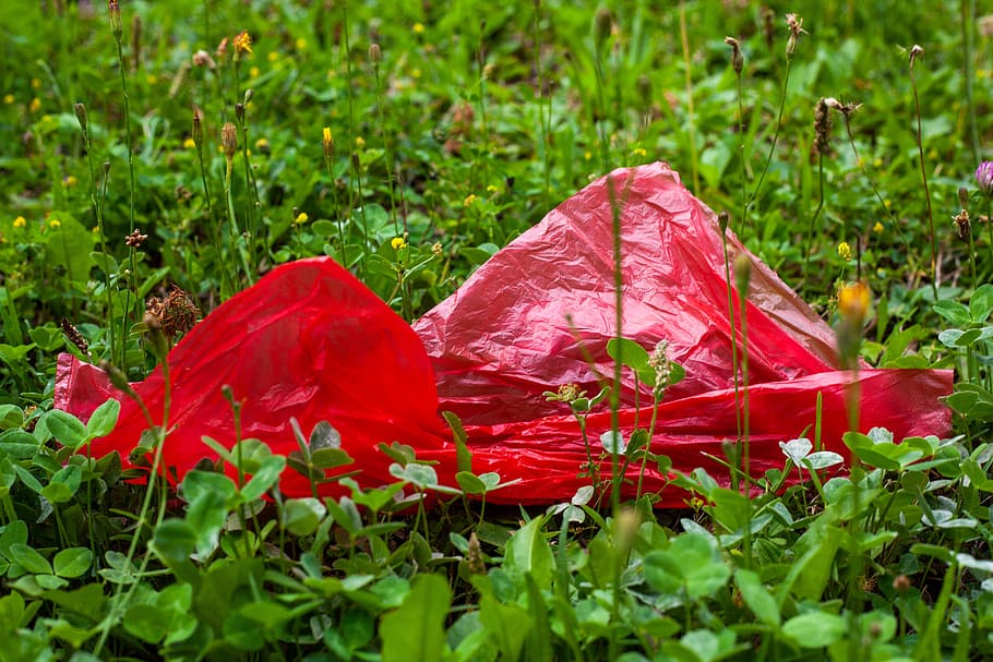 saco de plástico, plástico, saco, poluição, jogado fora, irresponsável, jogue fora a sociedade, disposição, proteção ambiental, coleta de lixo