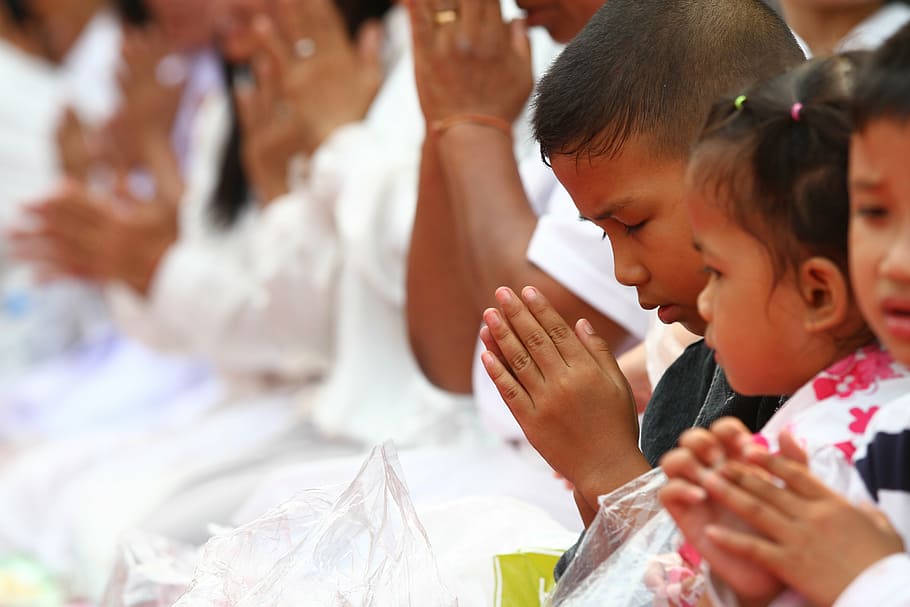 people praying, pray, buddhists, rose petals, walk, monks, tradition, ceremony, thailand, thai